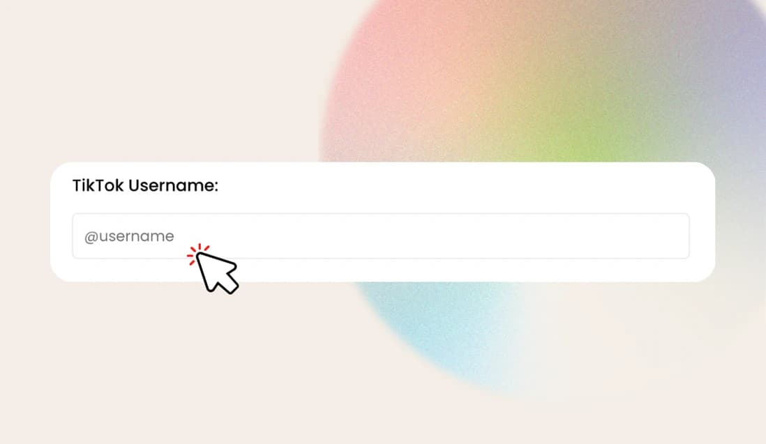 Enter TikTok Username